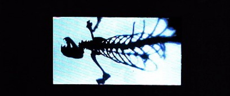 Temptation of Sainthood